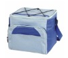 cooler bag