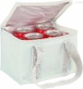cooler bag