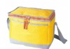 cooler bag