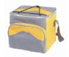 cooler bag