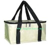 cooler bag