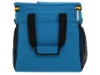 cooler bag