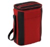 cooler bag
