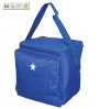 cooler bag