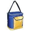 cooler bag