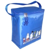 cooler bag