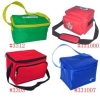 cooler bag