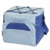 cooler bag