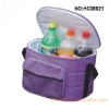 cooler bag