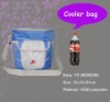 cooler bag