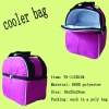 cooler bag