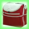 cooler bag