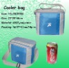 cooler bag