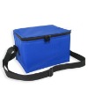 cooler bag