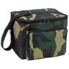 cooler bag(41846)