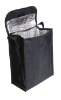 cooler bag (BN-CB003)