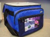 cooler bag for frozen food