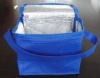 cooler bag for frozen food