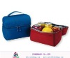 cooler bag for frozen food