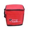 cooler bag for frozen food