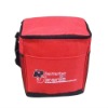 cooler bag for frozen food