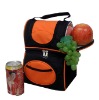 cooler bag for frozen food