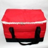 cooler bag for frozen food