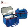 cooler bag for frozen food with aluminium foil lining