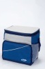 cooler bag for picnic usage, beautiful design and competitive price