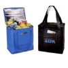 cooler bag for wine