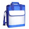 cooler bag/ice bag