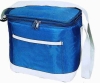 cooler bag/ice bag
