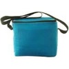 cooler bag( ice bag, promotion ice bag)