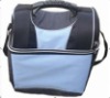 cooler bag / insulated bag / food insulation bag