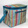 cooler bag lunch bag