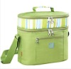 cooler bag picnic bag, lunch bag, can cooler bag for frozen food