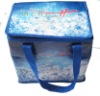 cooler bag with handles