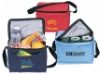 cooler bag with insulated lining