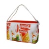 cooler bag2923-25