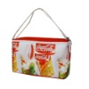 cooler bag2923-25