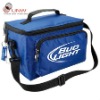 cooler fitness lunch bag