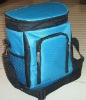 cooler ice bag picnic bag