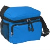 cooler satchel bag