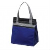 coral tote lunch cooler