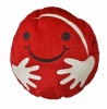 cute CD bag