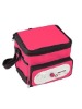 cute Radio cooler bag