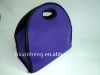 cute lunch cooler bag