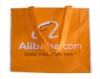 cute non-woven bag