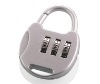 delicate combination lock