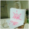 delicate printing bag for promotion